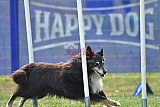 Canis donderdag
