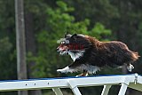 Canis donderdag