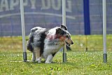 Canis donderdag