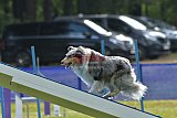 Canis donderdag