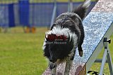 Canis donderdag