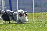 Canis donderdag