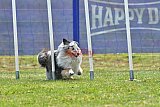 Canis donderdag