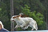 Canis donderdag