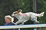 Canis donderdag