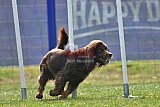 Canis donderdag