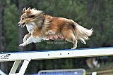 Canis donderdag