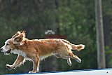 Canis donderdag