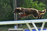 Canis donderdag