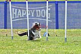 Canis donderdag