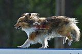Canis donderdag
