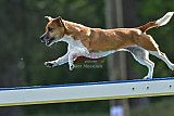 Canis donderdag