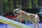 Canis donderdag