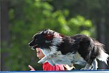 Canis donderdag