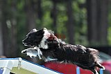 Canis donderdag