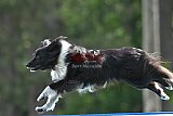 Canis donderdag