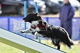 Canis donderdag