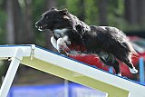 Canis donderdag