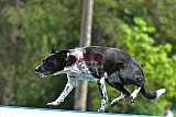 Canis donderdag
