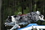 Canis donderdag