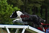 Canis donderdag