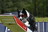Canis donderdag