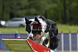 Canis donderdag
