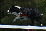 Canis donderdag
