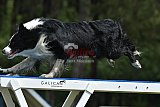 Canis donderdag