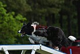 Canis donderdag