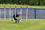 Canis donderdag