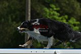 Canis donderdag