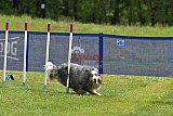 Canis donderdag