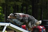 Canis donderdag