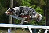 Canis donderdag