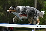 Canis donderdag