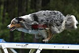 Canis donderdag