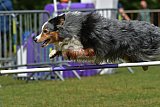 Canis donderdag