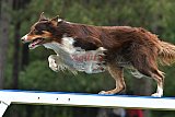 Canis donderdag