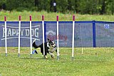 Canis donderdag