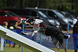 Canis donderdag
