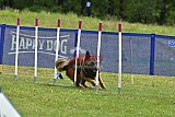 Canis donderdag