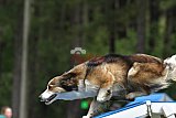 Canis donderdag