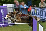 Canis donderdag