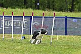 Canis donderdag