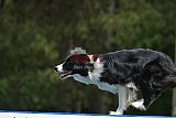 Canis donderdag