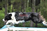 Canis donderdag