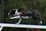 Canis donderdag