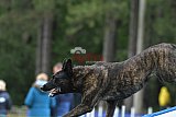 Canis donderdag