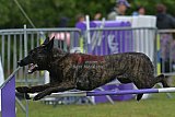 Canis donderdag